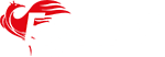 FlyFire Logo